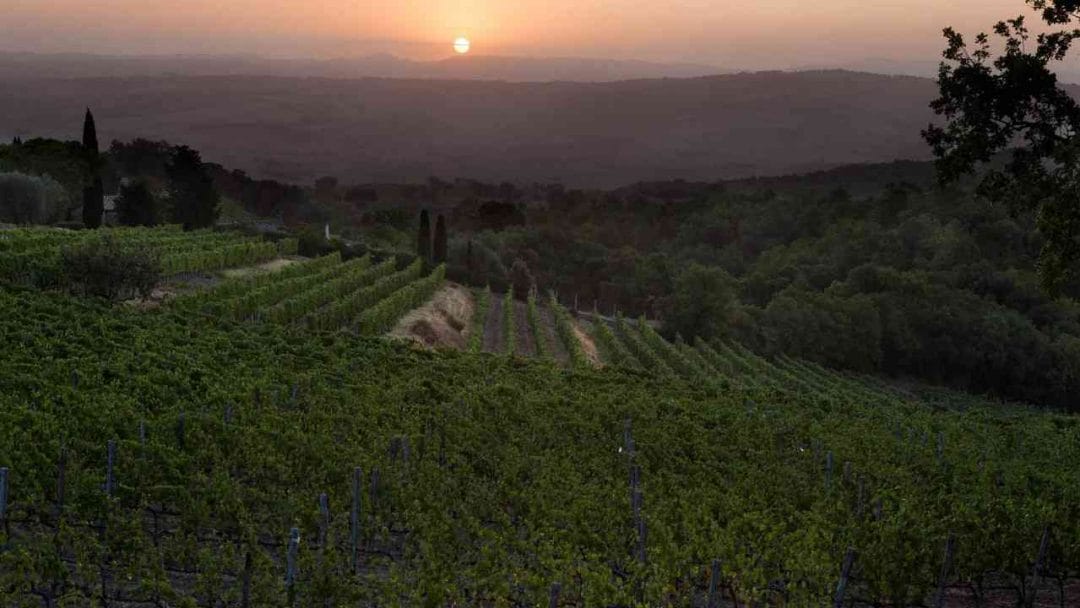 brunello biondi santi bewertung