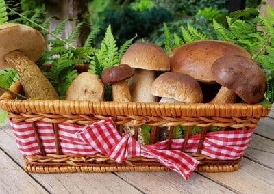 Pilze in einem Weidenkorb auf einem Holztisch.