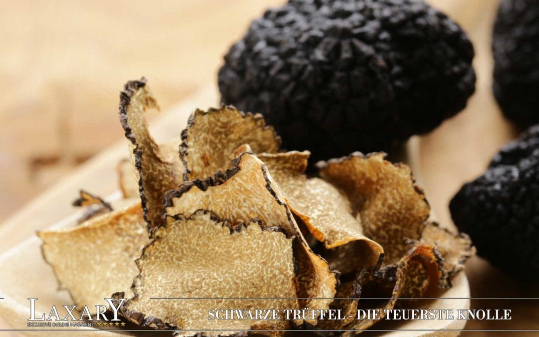 Die teuerste Knolle der Welt – Schwarze Trüffel