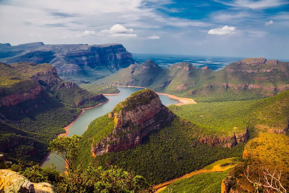 weine afrika vergleich