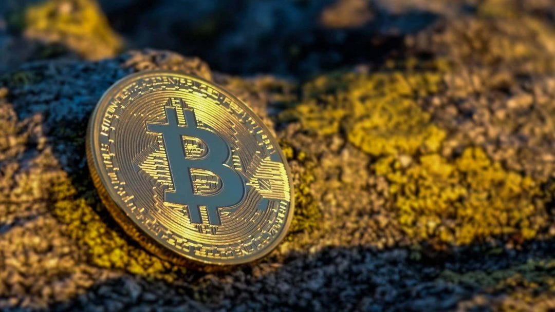 facebook kryptowaehrung anzeigen