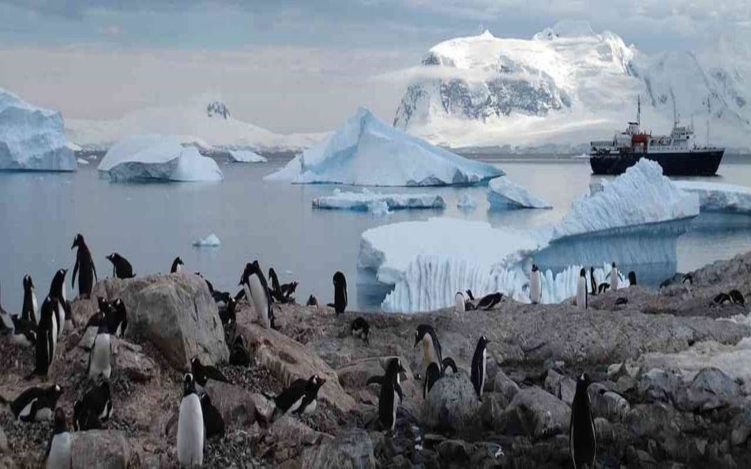 antarktis erleben 1